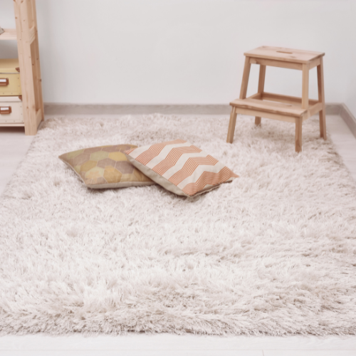 AREA RUGS & CARPET