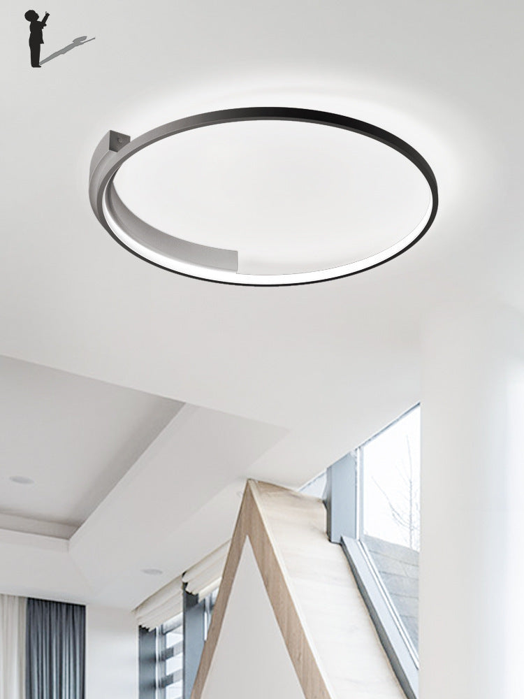 Modern Minimalist Ceiling Lamp Art Lighting